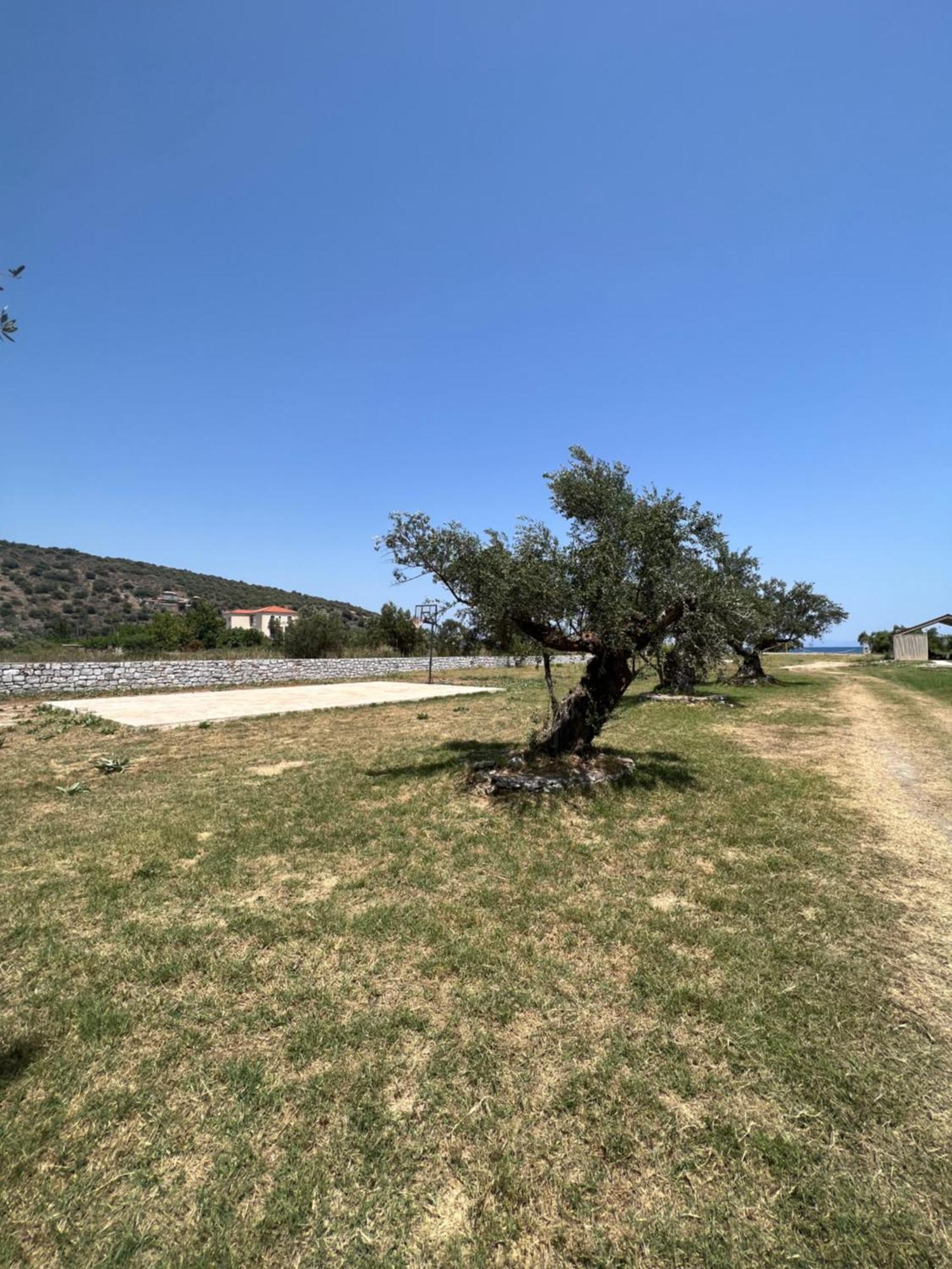 Mani Kamares Beach House Gytheio Dış mekan fotoğraf
